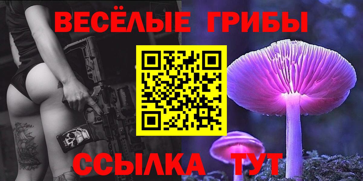 Псилоцибиновые грибы мухоморы  Вход с VPN  Новотроицк 